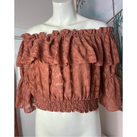 H&M Rust Cheetah Wide Leg Pants & Off Shoulder Bardot Crop Top Set Sz 12 - Picture 10 of 15